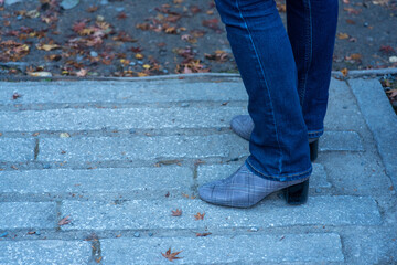 Autumn's walk