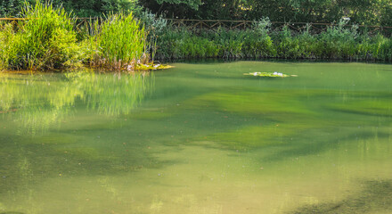 Widok przedstawia staw wodny położony na szczycie góry nieopodal małego miasteczka Corniolo we Włoszech © Piotr