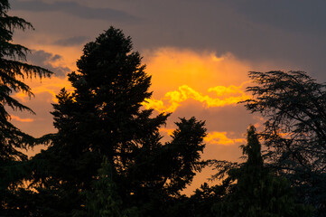 sky with clouds in summer. sunset with silhouette