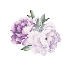 Peonies. Bouquet of flowers, can be used as greeting card, invitation card for wedding, birthday and other holiday and  summer background. Botanical art. Watercolor