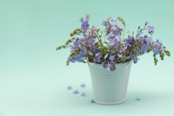 Blue forget-me-nots in a bouquet. Delicate wildflowers in a small white bucket on a soft blue background. A copy of the space.