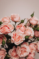 bouquet of roses on light background