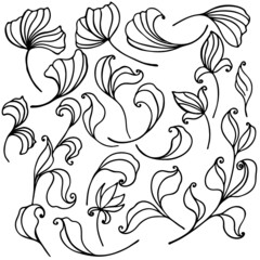 vector illustration, set of doodle elements in black, stylized plants with swirls, isolate on a white background