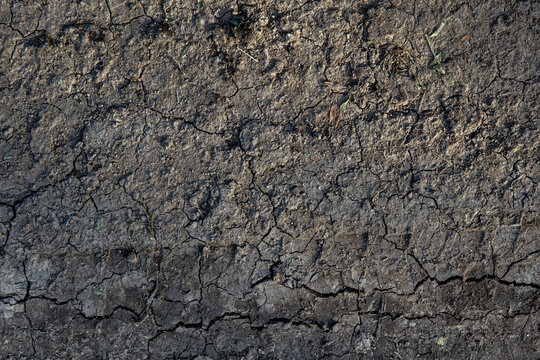 texture and background of cracked earth, soaked by the rain