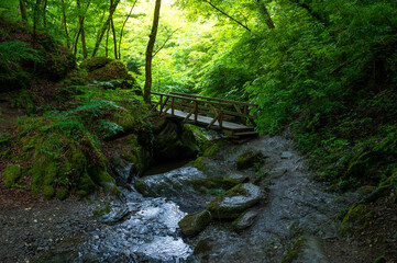 wooden bridges over the ehrbach in the ehrbachklamm