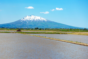 【青森県岩木山】津軽平野の水田と岩木山