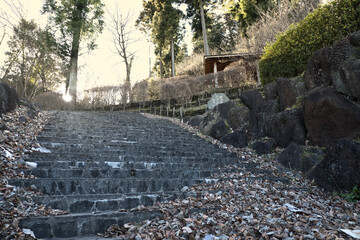 落ち葉と石階段