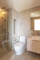 Fototapeta na wymiar Cleaning Bathroom with shower and toilet in modern house
