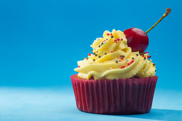 Cupcake with whipped cream decorated with a cherry homemade lactose free