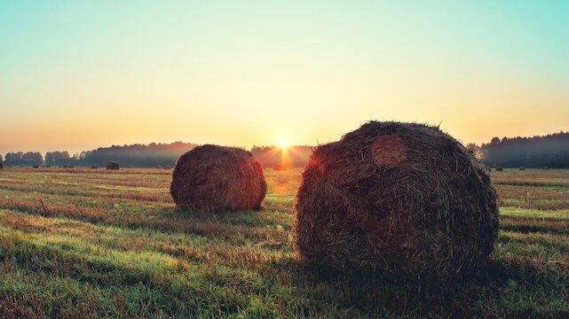 Straw bales on farmland on autumn sunrise.