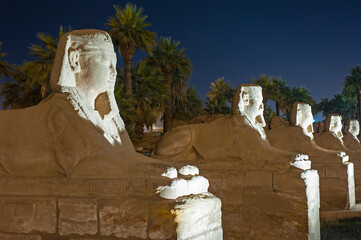 Avenue of sphinx statues at Luxor Temple