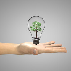 Concept illustration - a woman's hand holding a light bulb with a tree growing inside it