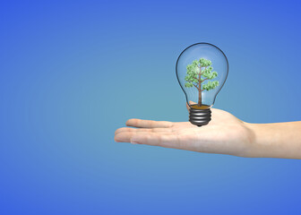 Concept illustration - a woman's hand holding a light bulb with a tree growing inside it