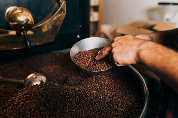 Man's hands holding freshly roasted aromatic coffee beans over a modern coffee roasting machine.