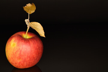 Ripe red apples, close-up, on a black background.