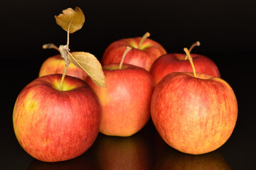 Ripe red apples, close-up, on a black background.
