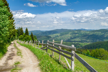 Fototapeta na wymiar Apuseni Nature Park Romania, Carpathian Mountains, pasture