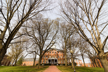 Spring vista of the ceremonial-like tree-lined pathway leading up towards the Historic McDowell Hall, St. John's College, Annapolis, Maryland 