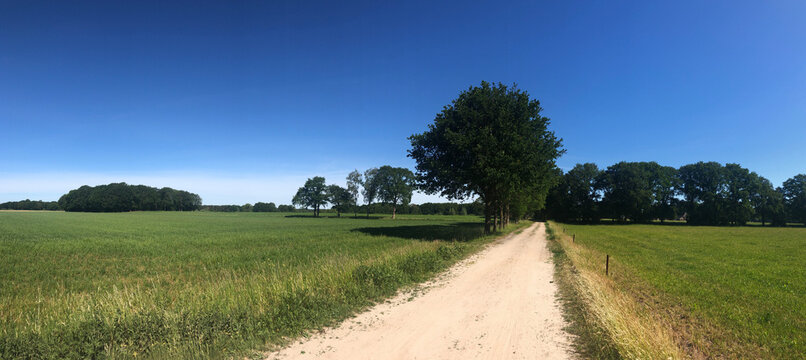 Sand road around Junne in Overijssel