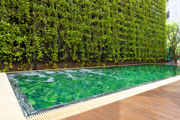 Swimming pool with little garden.Swimming is very popular sport in summer season