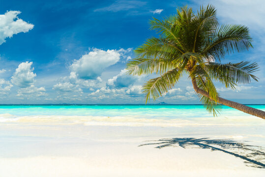 An Amazing tropical beach © Netfalls