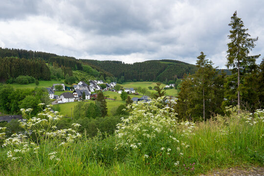 Rothaar Mountains, Sauerland, Germany