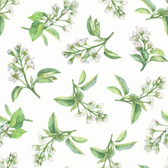 Seamless floral pattern in delicate pastel colors. Watercolor blooming twigs on a white background.