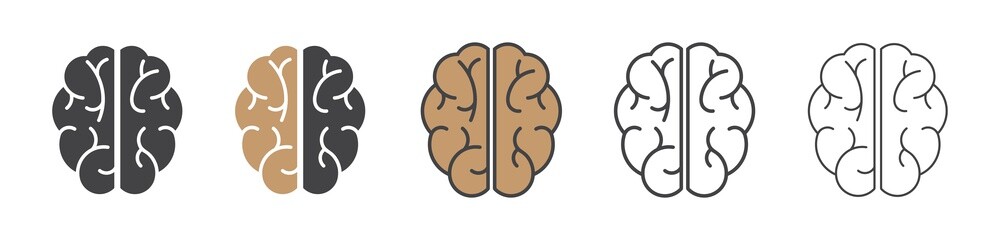 Human brain icon, brain in different style, vector illustration