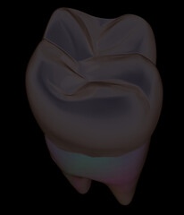 Tooth. 3d illustration. On a black background.