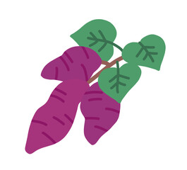 サツマイモの手描きベクター イラスト