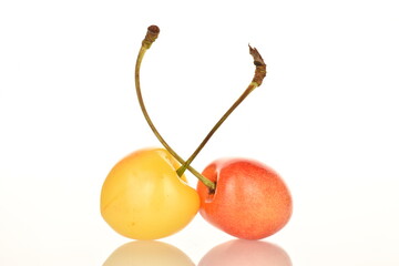 Yellow sweet cherry, close-up, on a white background.
