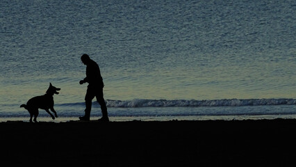 Fototapeta na wymiar Silouette of a man with dog on the beach