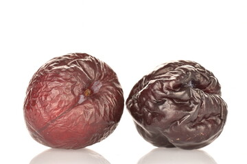 Dry plum, macro, on a white background.