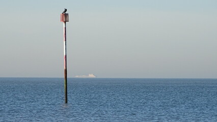 Pole in the sea