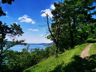 Fototapeta na wymiar Fantastic hike near Sipplingen on Lake Constance