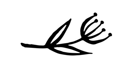 Hand drawn vector illustration of herbs. Doodle floral element. Spring and summer symbol. Contour otline drawing of simple black twigs and flowers