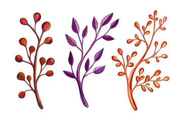 Hand drawn marker illustration of plant branch. Collection of floral design elements. Spring and summer symbol