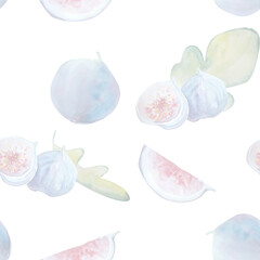  Aquarelle painting of fig sketch art illustration