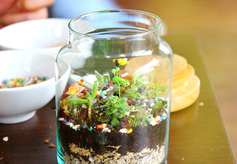 little garden in bottle