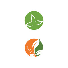Leaf Logo Template vector symbol