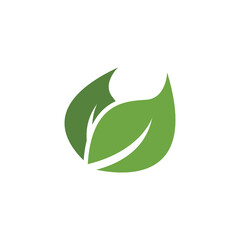 Leaf Logo Template vector symbol