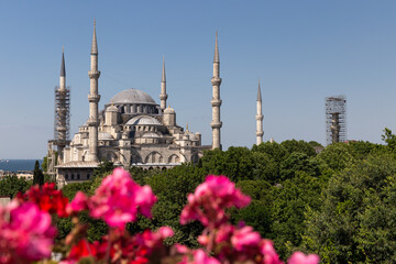 Fototapeta na wymiar Sultanahmet Blue Mosque in Sultanahmet, Istanbul, Turkey