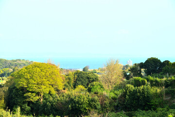 Obraz premium 神奈川県横須賀市津久井の風景