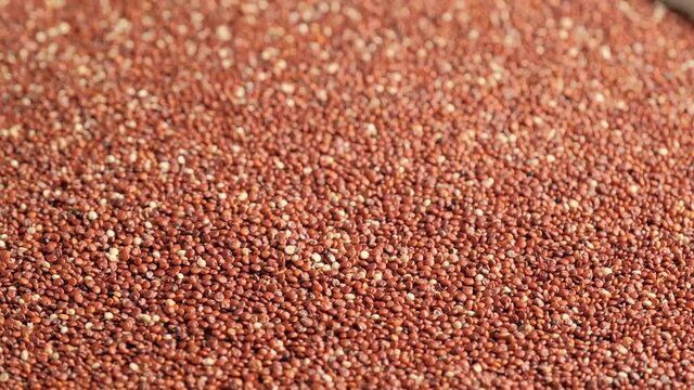 Red raw quinoa rotating, South American grain. Healthy and gluten free food concept background.