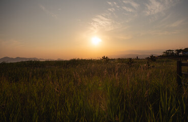 Obraz premium 석양