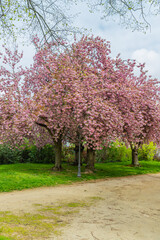 Park near Basilique Saint-Remi View in  Reims, France