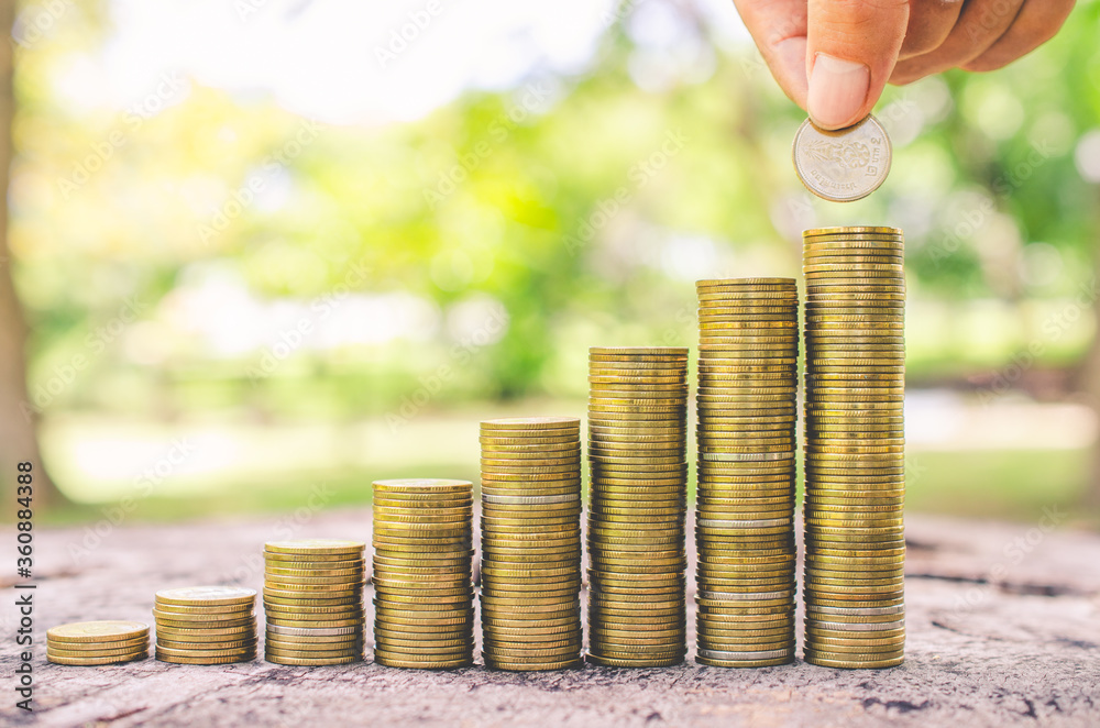 Wall mural investor business man hand putting money on coins row stack on wood table with blur nature park back