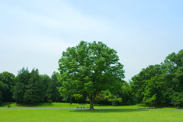 Green Park