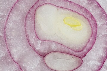 circular design of the rings of a red onion