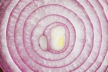 Circular rings of a red onion